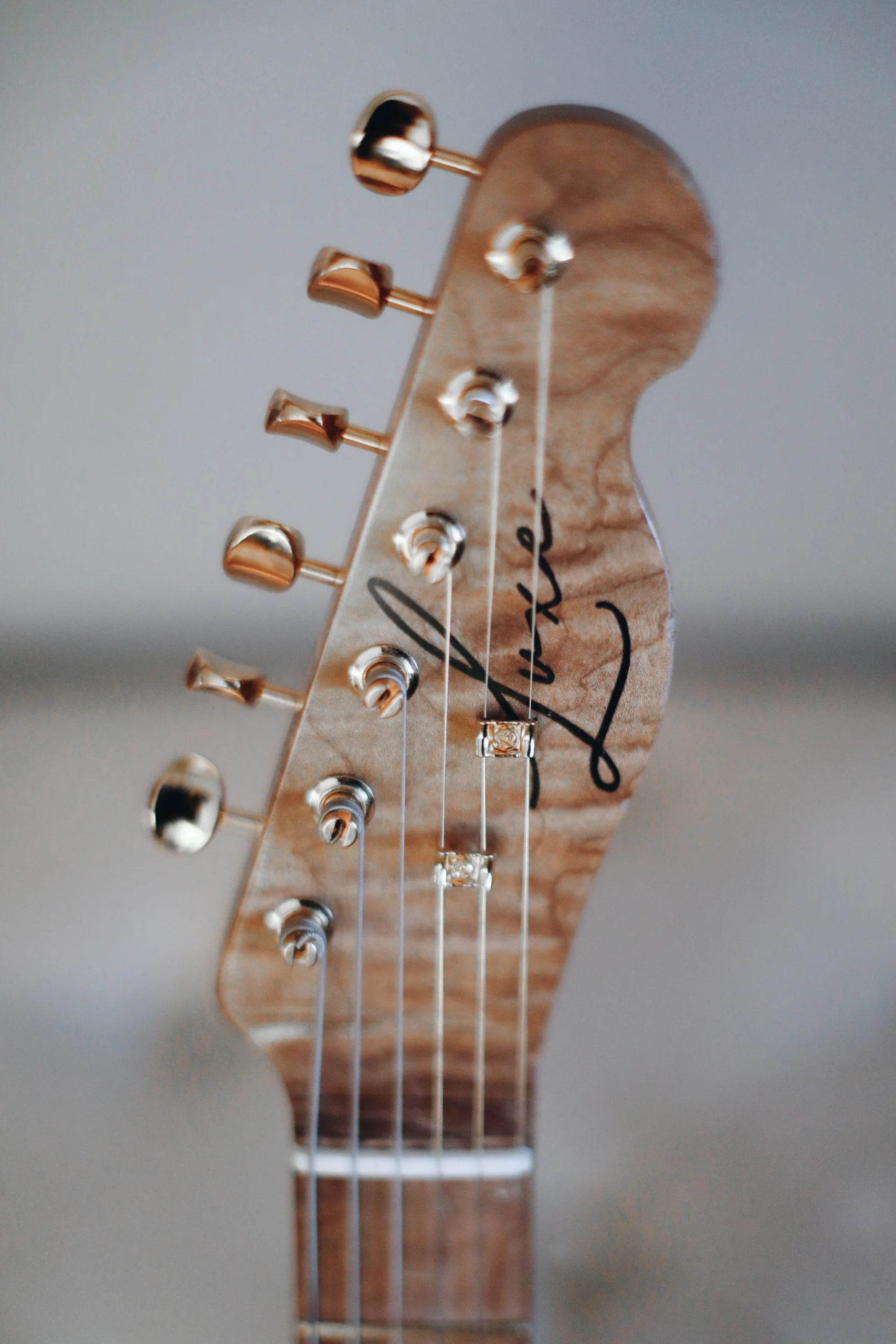 Clarus | Sherwood Green Relic — detail